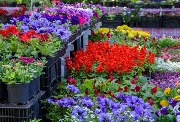 DSC_8212.jpg