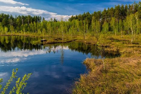 В Тамбовской области экотропа "притянет" туристов к легендарному озеру