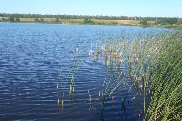 В Тамбовской области в частном пруду погиб 42-летний мужчина