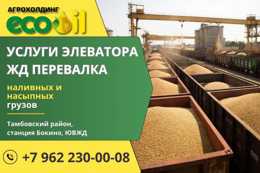 Аграриям предлагают мощности для хранения до 250 тысяч тонн зерна на ж/д станции Бокино