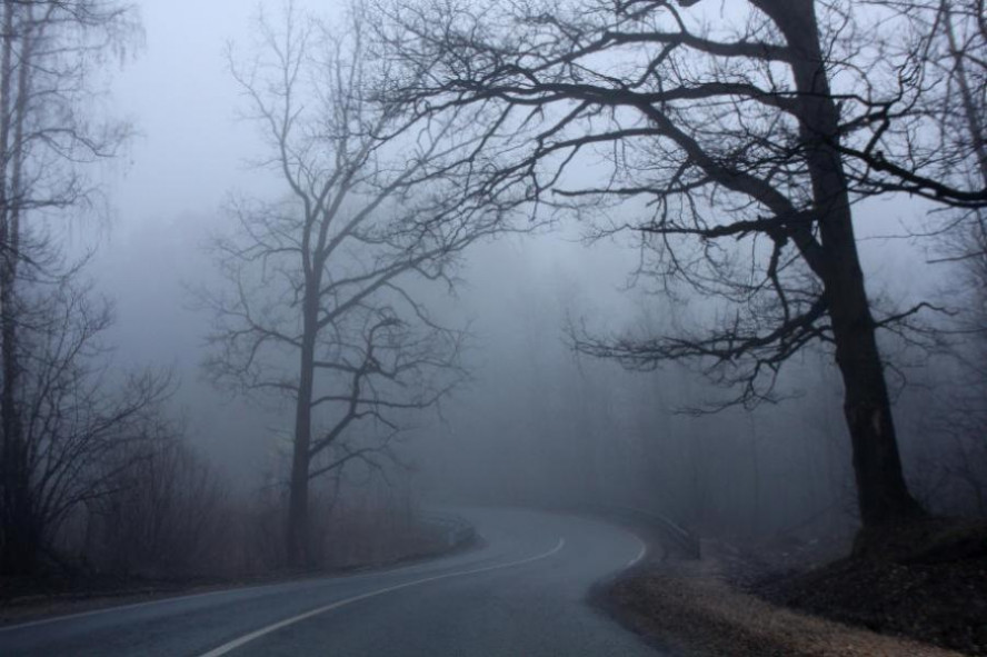 Тамбовскую область в ближайшие часы накроет густым туманом