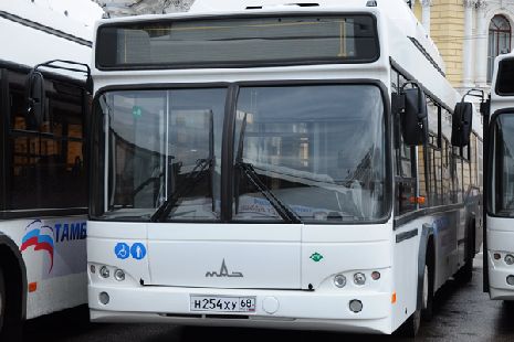 В Тамбове изменили расписание автобусов дачного маршрута