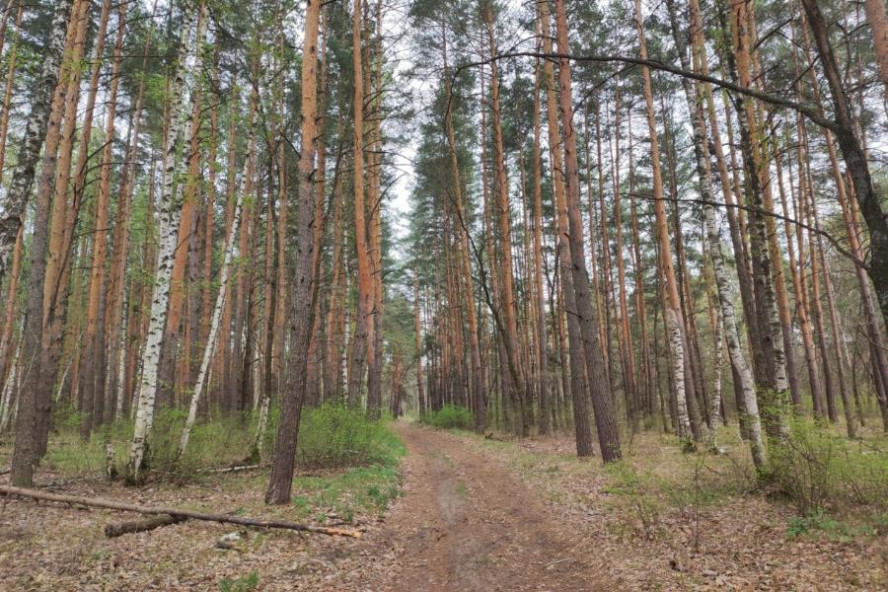 В Тамбовской области с 17 апреля стартовал пожароопасный сезон