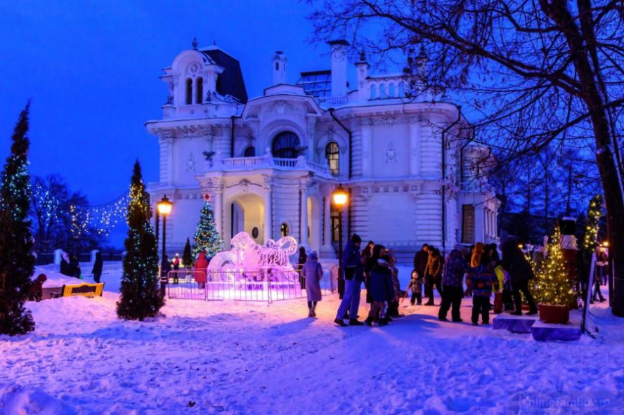 В Тамбове откроется выставка ледяных скульптур