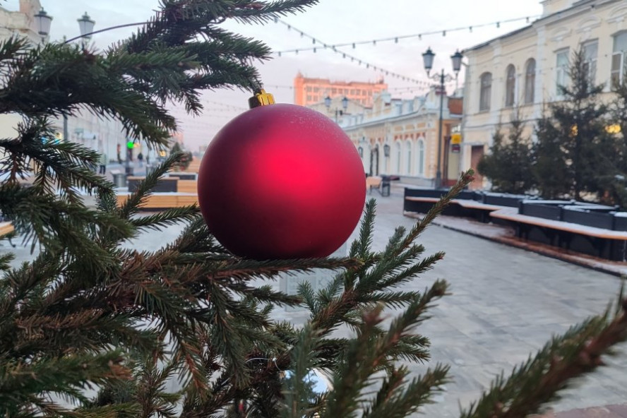 Итоги дня: реставрация усадьбы предводителя Козловского дворянства, украшение Тамбова к Новому году, дополнительные средства на зарплаты медикам