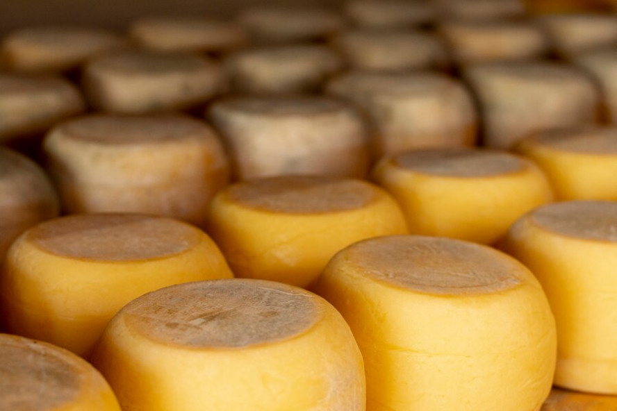 В России отечественный сыр подорожает осенью на 5-7%
