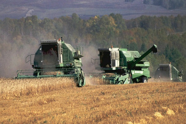 В России прогнозируют рекордный урожай зерновых в 2022 году