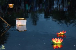 IMG_3520.JPG