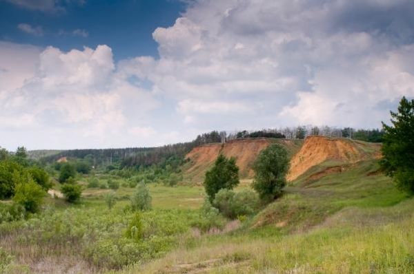 Три кургана в Тамбовской области признаны объектами археологического наследия