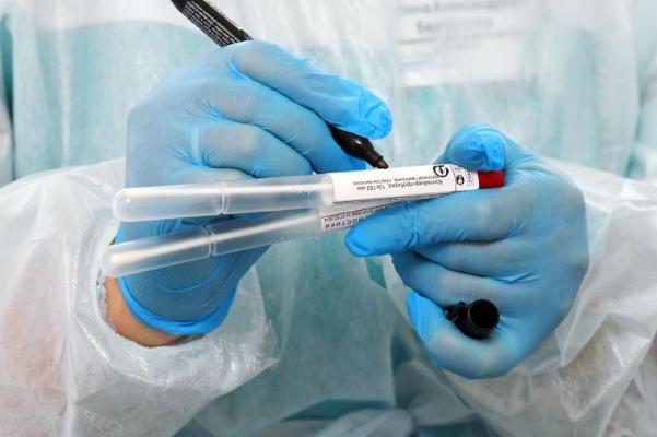 Россиян проверят на наличие иммунитета к коронавирусу