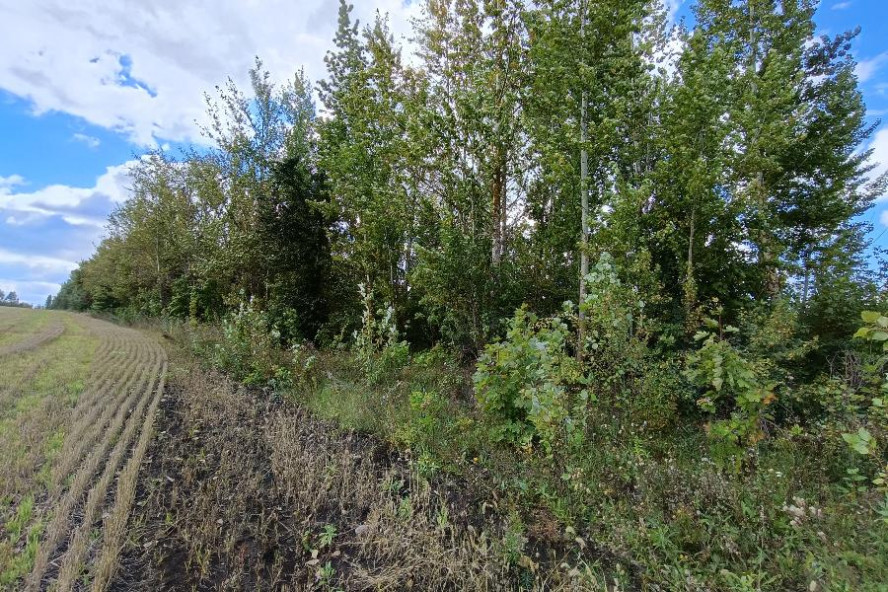 В Тамбовской области подвели итоги пожароопасного сезона