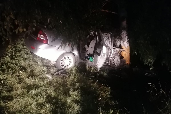 В Тамбовской области 28-летний водитель "ВАЗа" врезался в дерево