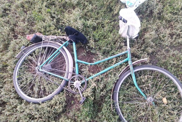 В Тамбовской области водитель иномарки насмерть сбил 87-летнего велосипедиста