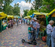 DSCF8210.jpg