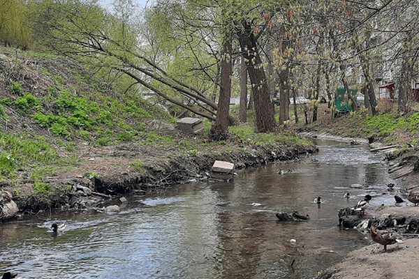 Проект расчистки реки Студенец прошел государственную экспертизу