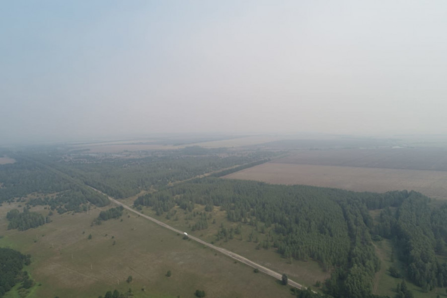 Тамбовскую область окутывает дым от мордовских лесных пожаров