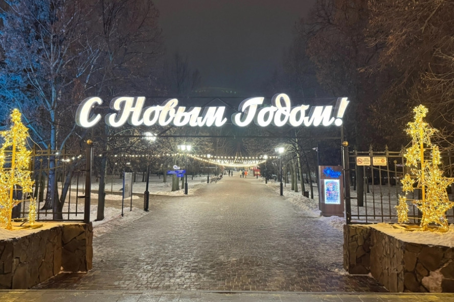 Многодетные семьи смогут получить бесплатные билеты на аттракционы в тамбовском горсаду