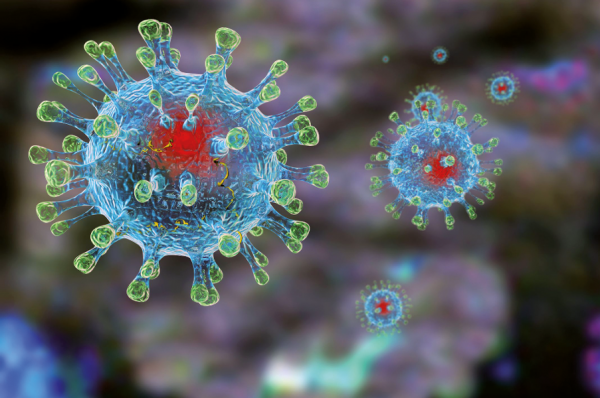 Опрос ИА "Онлайн Тамбов.ру" показал: большинство не боится коронавируса
