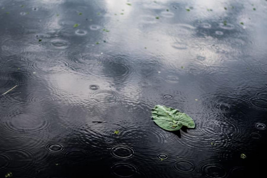 В ближайшие часы в Тамбовской области ожидаются сильные дожди