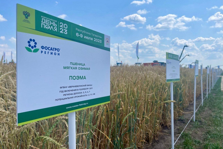 Тамбовские аграрии изучают новые технологии управления урожайностью на Всероссийском дне поля в Казани