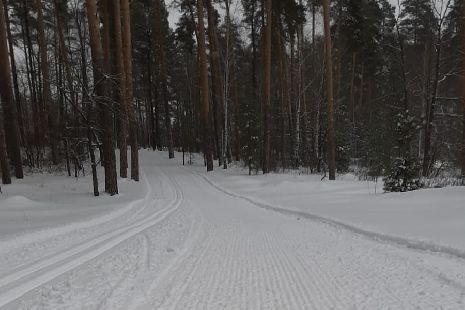 В Котовске пройдет ежегодный лыжный марафон