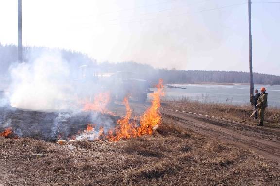 В Тамбовской области запрещено разводить костры и использовать открытый огонь