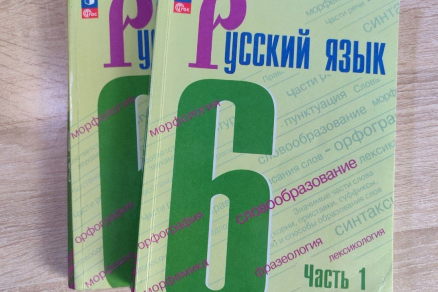 Для юных тамбовчан с нарушениями слуха и зрения разрабатывают специальные учебники