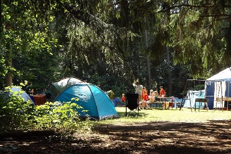 Летние лагеря для отдыха детей откроются не раньше 10 июля