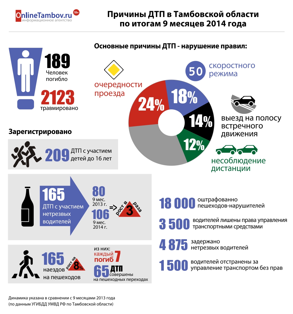 Причины ДТП в Тамбовской области по итогам 9 месяцев 2014 года