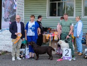 DSCF9037.jpg