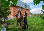 DSCF3816.jpg