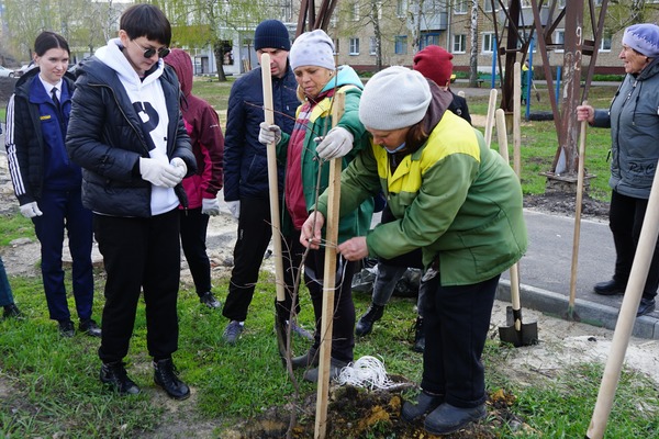 В Тамбове волонтеры высадили 45 молодых деревьев