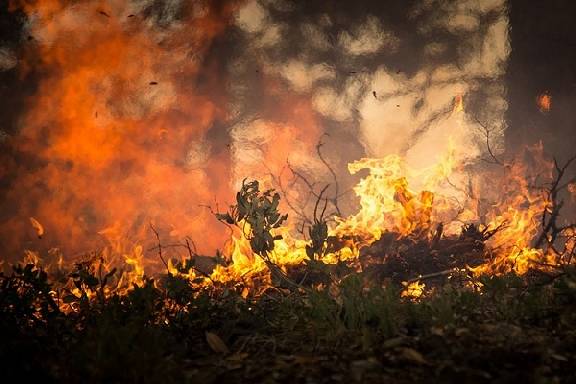 В Тамбовской области прогнозируется желтый и оранжевый уровни пожарной опасности