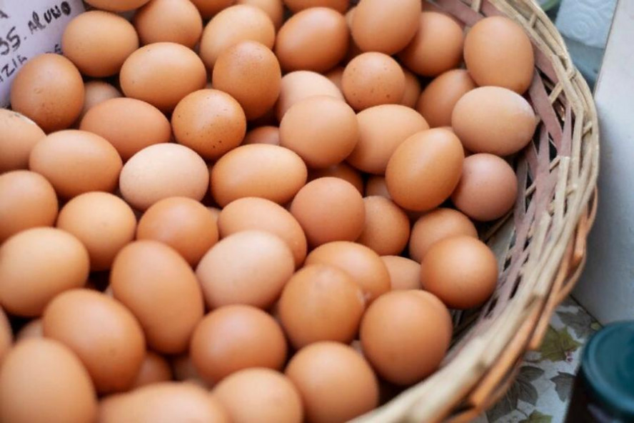 Минсельхоз ожидает стабилизацию цен на куриное яйцо