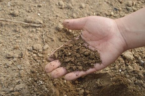 Из сельхозорганизации в Первомайском районе похитили тонну минеральных удобрений
