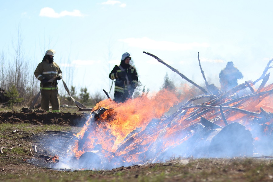 В Тамбовской области из-за горения сухой травы произошло 82 пожара