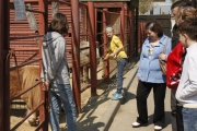 В Тамбовском зоопарке открылась контактная площадка