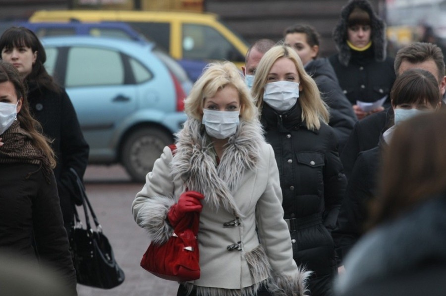 Число заразившихся коронавирусом в России увеличилось на 33 человека