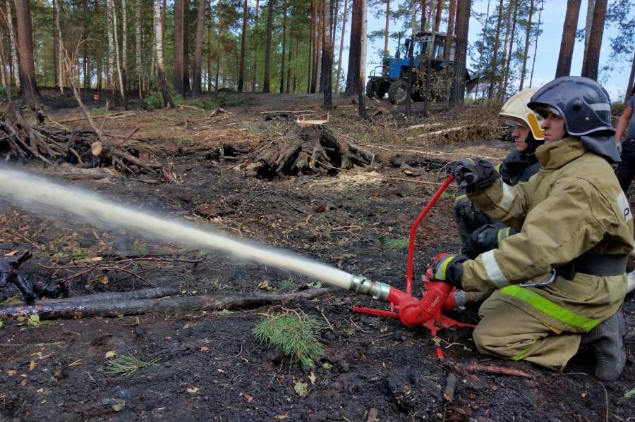 Тамбовские спасатели пятые сутки помогают тушить лесные пожары в Рязанской области 