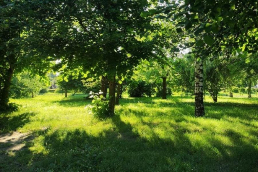 В Тамбовской области с начала сезона клещи покусали 1829 человек