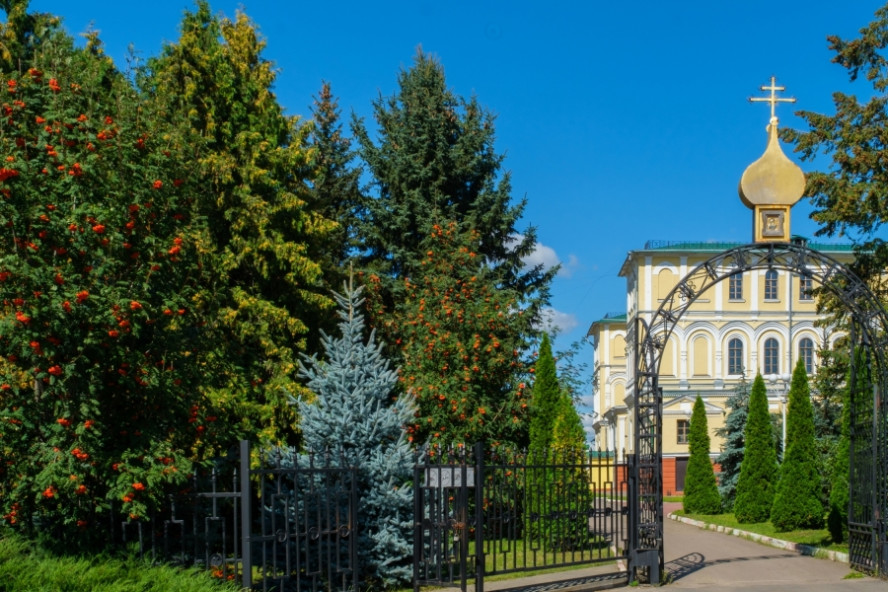 Итоги дня: отказ от троллейбусов в Тамбове, пополнение в "Семье волков", комплексное развитие областного центра