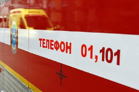 За неделю при пожарах в Тамбовской области погибли три человека