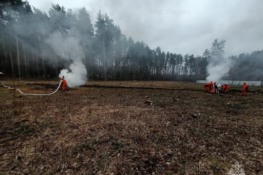 В лесу Тамбовского района потушили условный пожар