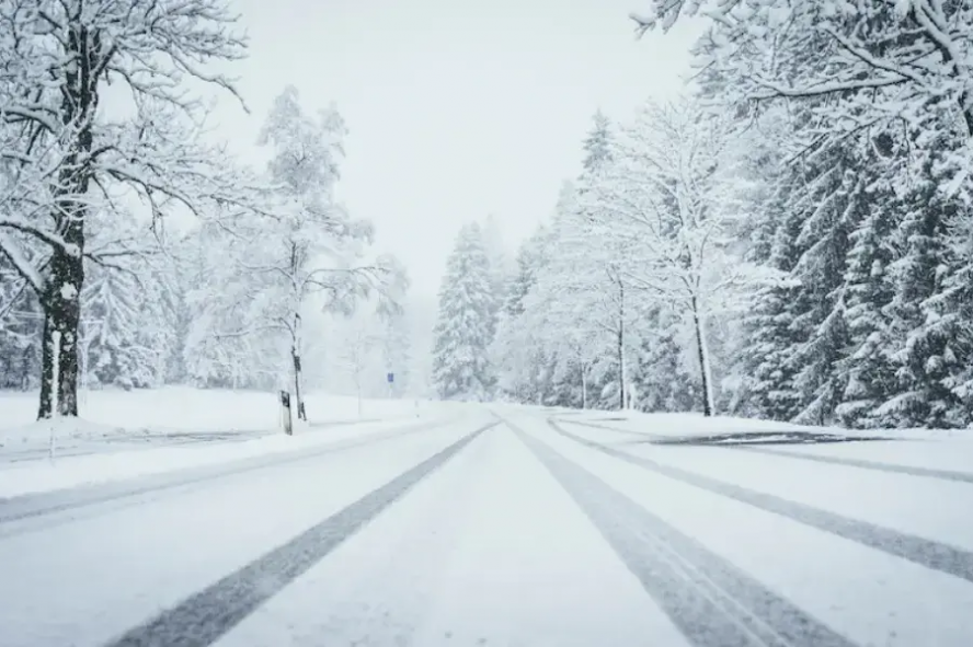 В Тамбовской области 9 декабря ожидается сильный снег и метель