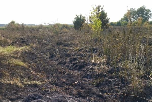 В Петровском районе при сжигании травы погиб мужчина и его престарелая мать