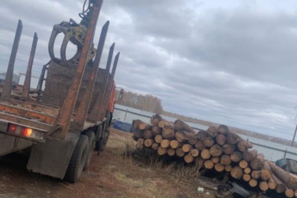 Бывшая сотрудница лесхоза обвиняется в служебном подлоге
