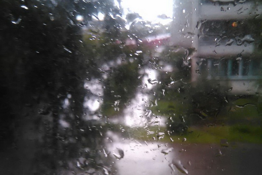 В субботу в Тамбовской области прогнозируют кратковременный дождь и грозу