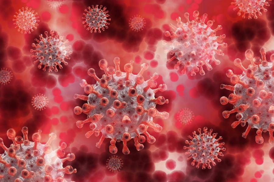 Осенний период пандемии коронавируса сложнее весеннего