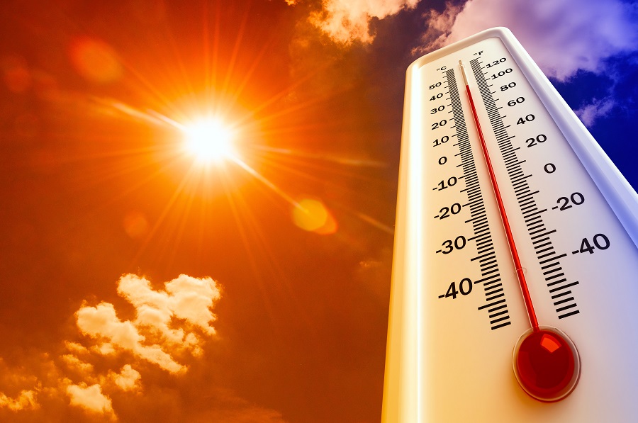 Аномальная жара в Тамбовской области продлится ещё несколько дней