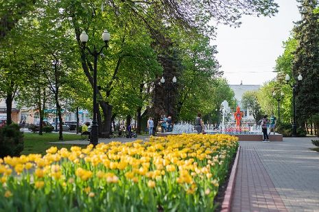 Три населенных пункта Тамбовской области выделяются благоприятной городской средой